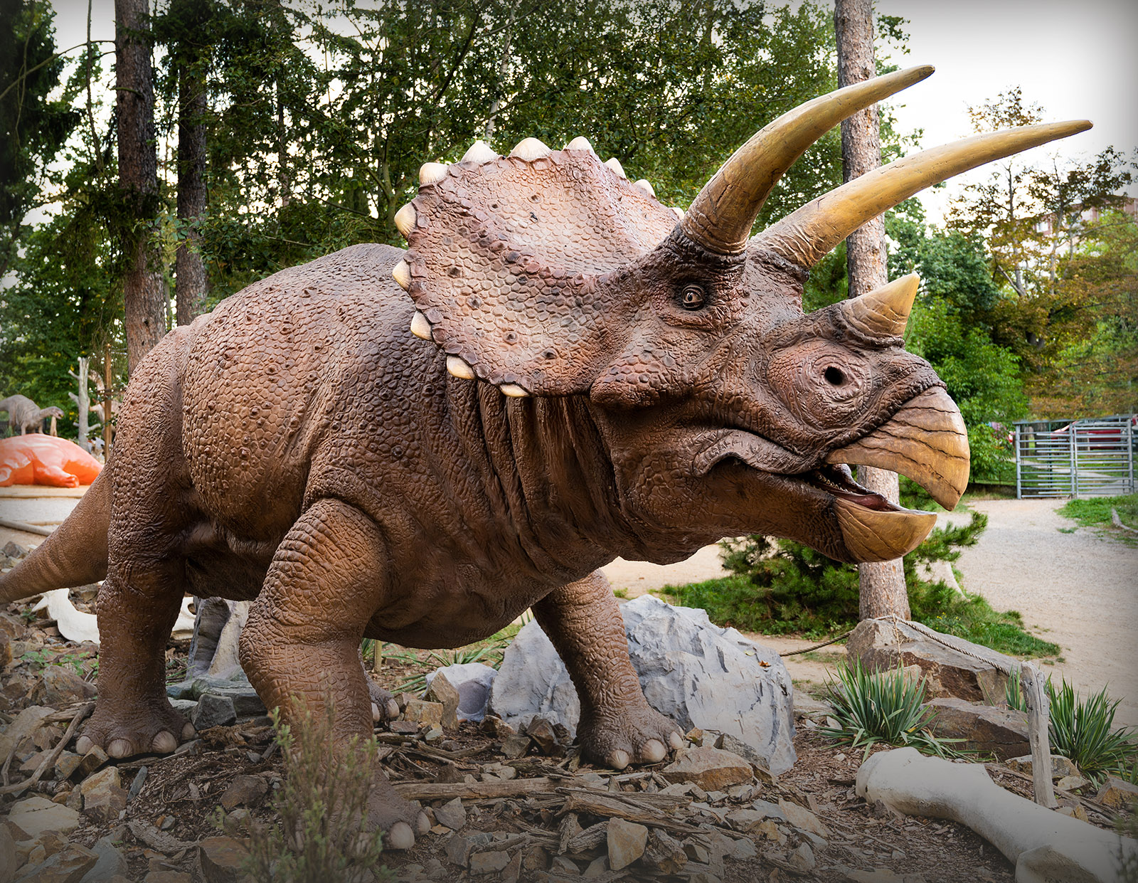 Foto Triceratops